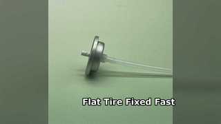 Tire Inflator Valve Emergency Repair Kit