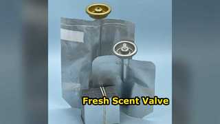 Air Freshener Valve For Perfect Home Scent