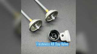 Long Lasting Deodorant Spray Valve