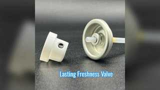 Body Spray Valve: Lasting Freshness