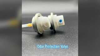 Deodorant Spray Valve Lasting Freshness