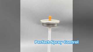 Precise Spray Valve for Lubricant Cans