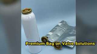 Custom Bag on Valve Systems for Aluminum Aerosol Cans
