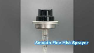 Fine Mist Pump Sprayer for Perfect Cosmetics