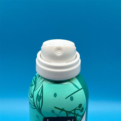 buy Dry Shampoo Spray Valve High-Performance Aerosol Valve Assembly for Powder Sprays online manufacture