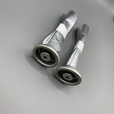 Buy Eco-Friendly Female Bag on Valve Aerosol System for Sustainable Packaging online manufacture