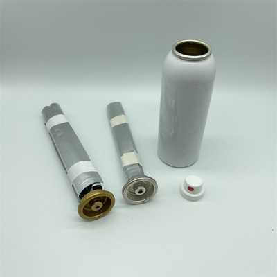 Precision Female Bag-On-Valve System for Beauty Products – 50 mL Compact and Reliable