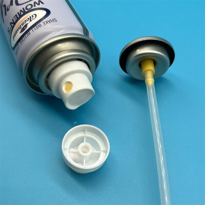Dry Shampoo Spray Valve Advanced Valve Design for Fine Powder Dispensing