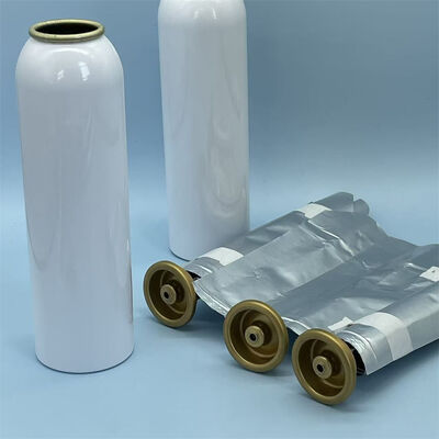 Professional-Grade Female Bag-on-Valve Aerosol System with Enhanced Sterility Control